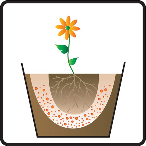 Tørr påføring på en allerede plantet plante