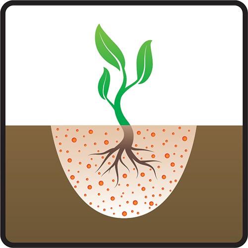 Tørr påføring på en allerede plantet plante